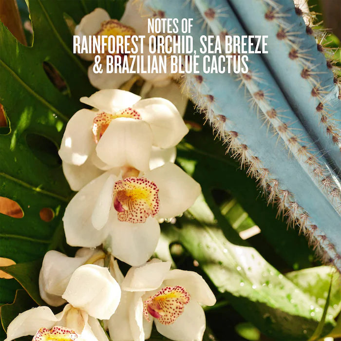 Sol de Janeiro 
Refresco Paraíso Hair & Body Perfume Mist 90 ml